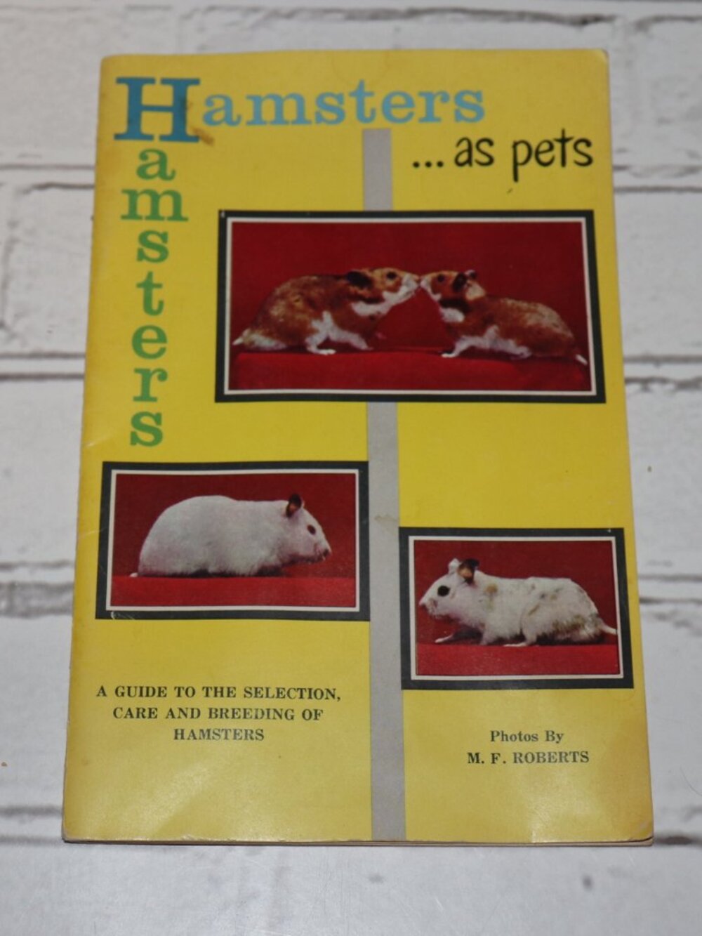 🐹 Hamsters …as pets · Care, Selection & Breeding Guide · M. F. Roberts